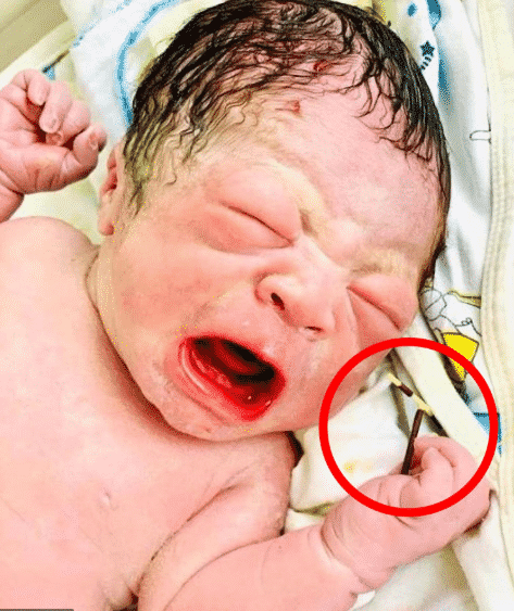 New born baby is delivered holding contraceptive