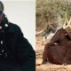 “I wish I was a cow” — Rapper Erigga says, reveals why