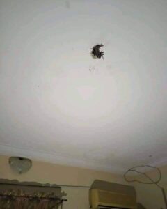 Woman and her children unharmed as ceiling fan falls on their bed while they slept (PHOTOS)