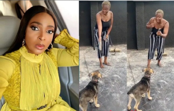 “No fear dear husband, I no kuku like dogs” – Blessing Okoro says as she attempts to F!ght her dog Off her (Video)