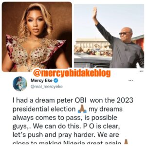 I dreamt that Peter Obi became president & my dreams always come true"- Mercy Eke