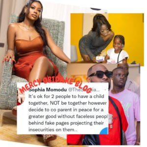"It's Ok For 2 People To Have A Child & Be Apart, Stop Connecting Everything I Do To My Ex"- Davido's First Babymama, Sophia Momodu Cries Out