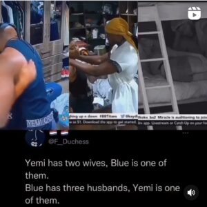 Yemi and blue Aiva big brother titans 