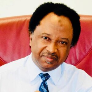 Shehu Sani on election