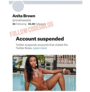 Davido pregnant side chick Anita Brown Twitter suspended