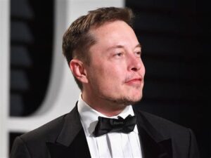 Elon Musk paying Twitter users