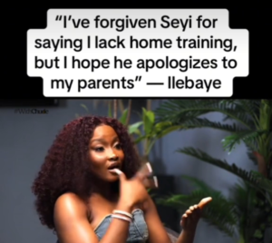 "I Hope He Apologises To My Parents"- Ilebaye Reacts To Video Of Seyi Saying She Lacks Home Training (VIDEO)