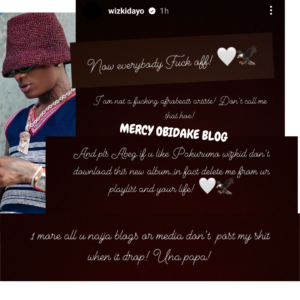 "I'm Not An Afrobeat Artiste.....Blogs Shouldn't Post My Album When It Drops,...Everybody F*ck Off"- Wizkid
