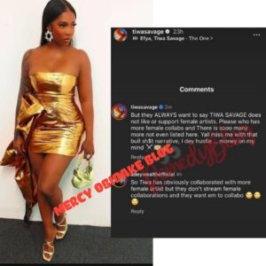 Nigerian female artist Tiwa Savage slams back at netizens through her recent statement.