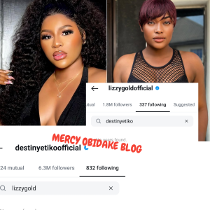 Destiny Etiko and Lizzy Gold Unfollow Each Other on Instagram