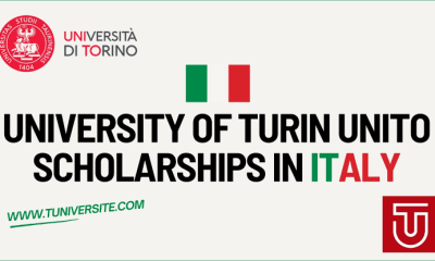 University of Turin UniTo Scholarship 