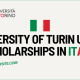 University of Turin UniTo Scholarship 