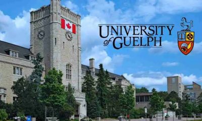 University of Guelph Entrance Scholarship 
