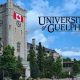 University of Guelph Entrance Scholarship 